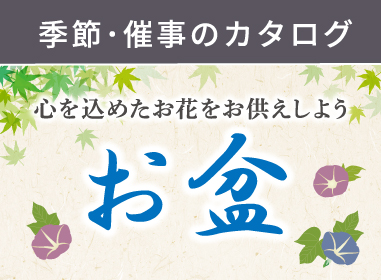 カタログ
