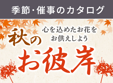 カタログ
