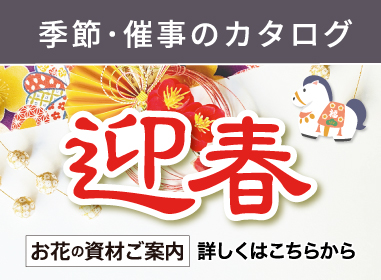 カタログ